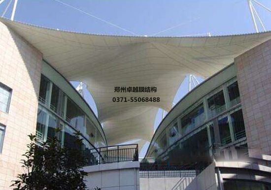 錦州市張拉膜車(chē)蓬廠家